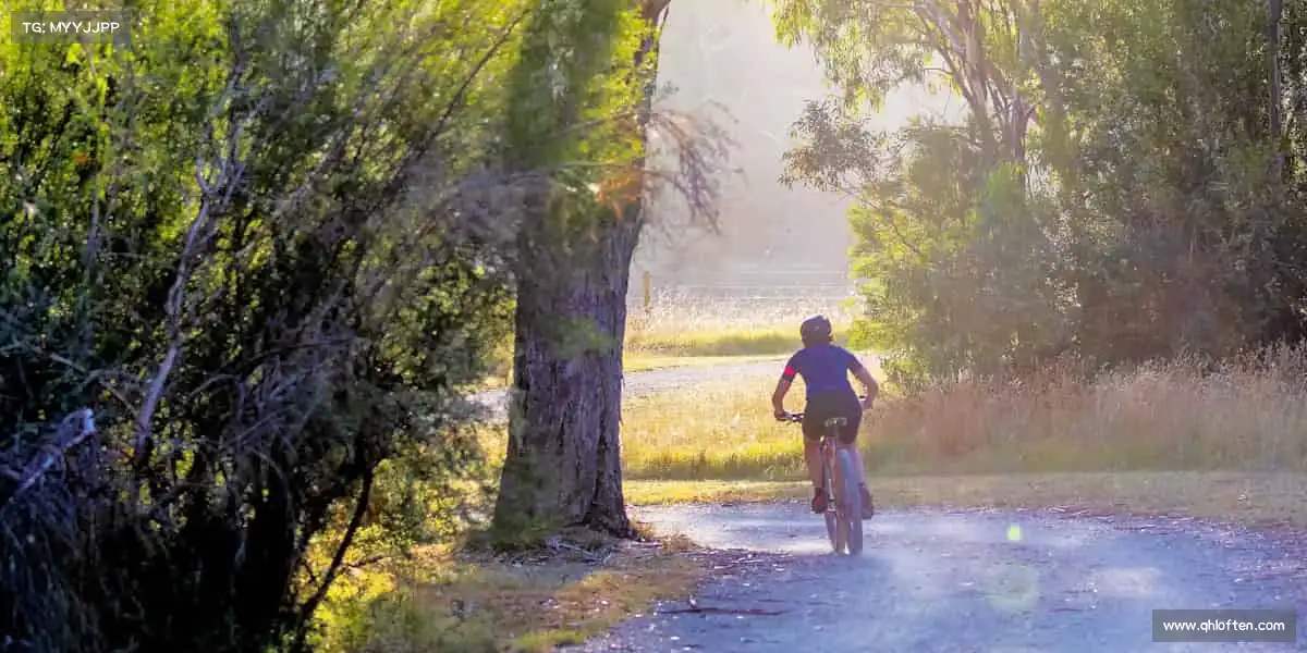 为什么选择我们